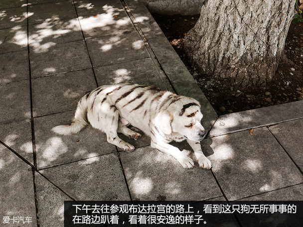 爱卡旅行社 海马S5运动版智驾西藏之旅