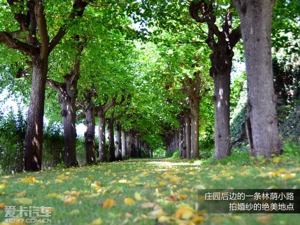 福特德国之旅