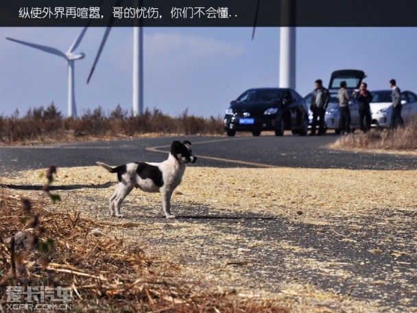 丰田；普锐斯；草原天路游记