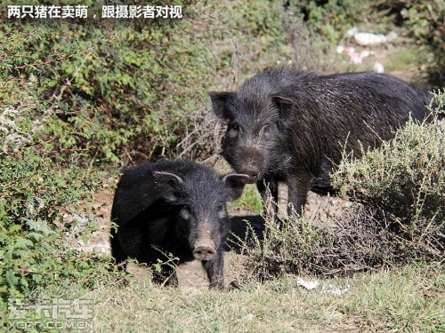 触摸梦想天堂  驭胜S350开启西藏之旅