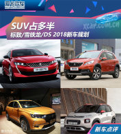 SUVռ DS//ѩ2018³滮