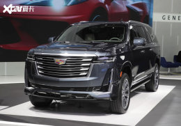 �������� 2020�������ص��³���������