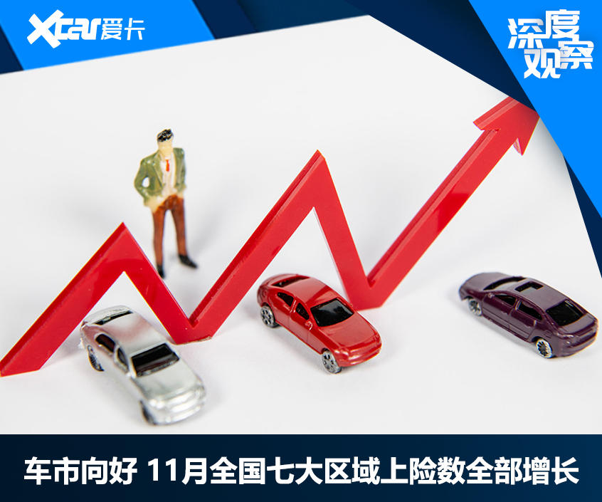 11月上险数