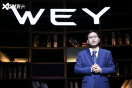 �¶�λ�¼��� WEY�������¶�����������