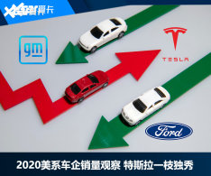 2020��ϵ���������۲� ��˹��һ֦����