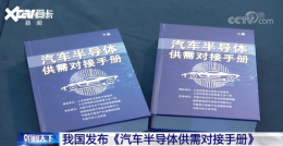 �ٽ��� ���Ų������뵼��оƬ����ļ�