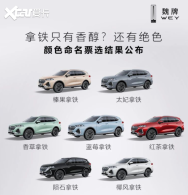 WEY���������ÿ��ȷ����� ����������ɫ