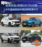 ���õ� �ϰ����ذ�ȼ���й�Ʒ�ƽ���SUV