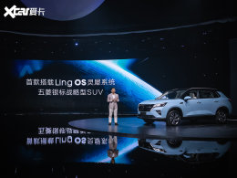 �����ǳ��״δ���������̬Ling OSϵͳ