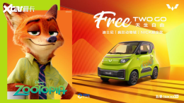 ����NanoEV�������޶��漴������