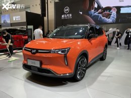 2021���չ ����W6������OTA����