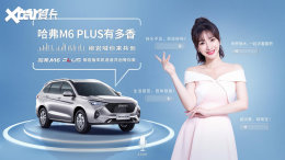 ����󣡹���M6 PLUS���������潫����
