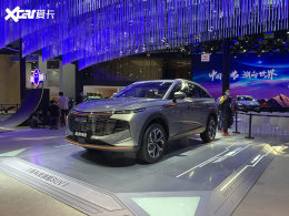 2021���ݳ�չ�����Ͷ��� ������������