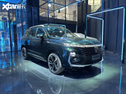2021���ݳ�չ̽�� ����RX5 MAX����չ̨