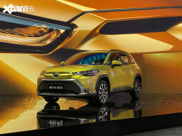 2021���ݳ�չ����������������׷�����
