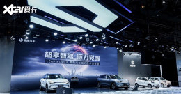 2021���ݳ�չ�����ܷ������ܶ�������