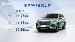 WEY����DHT��ʽ���� ��15.98-17.98��Ԫ