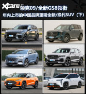 ���09�� �й�Ʒ��ȫ��/����SUV���£�