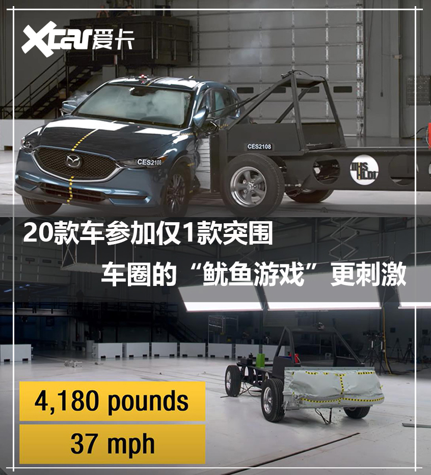 选题2头图