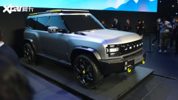 ��;T-X��ʽ���� ����ֱ������̹��300