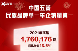 ����2021������176���� ͬ������13.5%