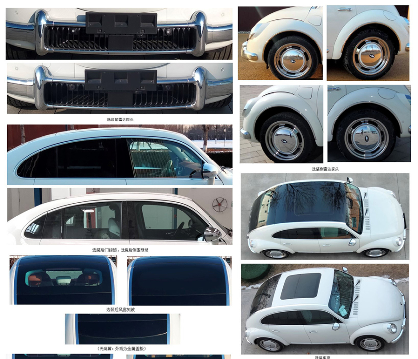 欧拉朋克猫申报图曝光