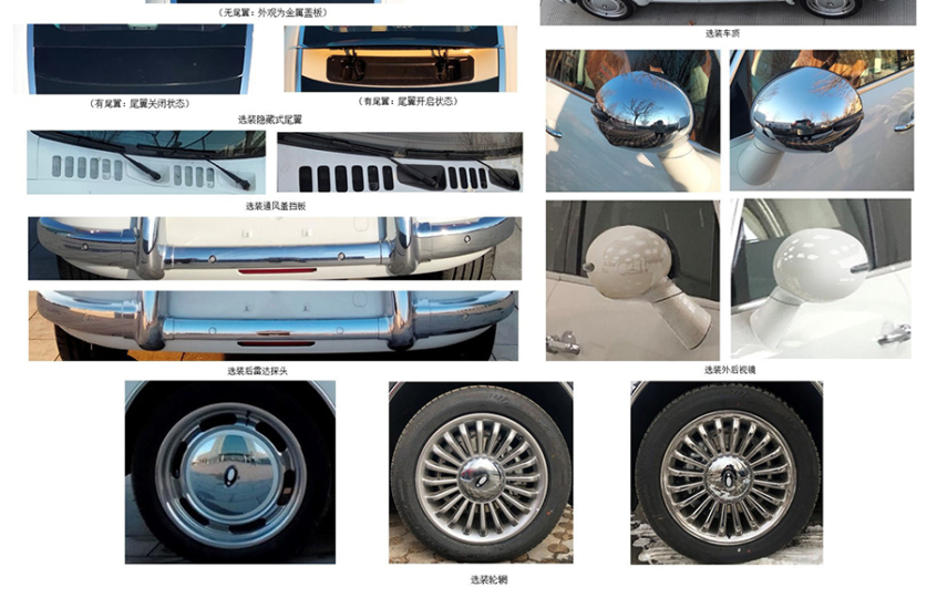 欧拉朋克猫申报图曝光