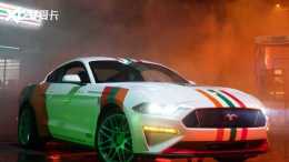 ���ط���Mustang 7-11�ر��ٷ�ͼƬ