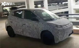 ���ǵϺ�Ÿ���� ��λ΢�ͳ������ȷ���