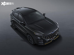 ŷ��X5���Ͱ��ͼ���� ��/����ɫ���ſ�