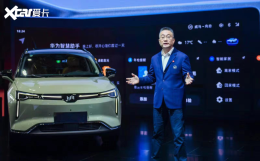 ����CEO��Ӧ�����¼� 12����н�����