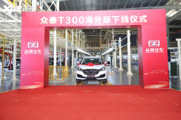 ��̩T300L�����ع� ������������100mm
