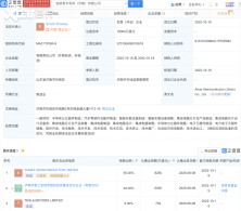 ��˹���������ʰ뵼�幫˾ ����оƬ