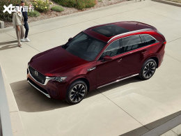 ���Դ�CX-90��ʽ���� ������������г�