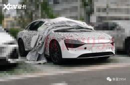 �������ȷ��� Luxeed������ܵ����ع�