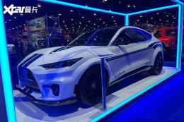 л������ս���糵 ���Ÿ���Mach-E����
