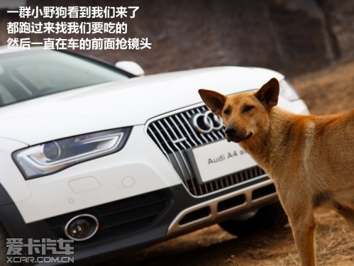奥迪A4 Allroad 跟着电影去旅行