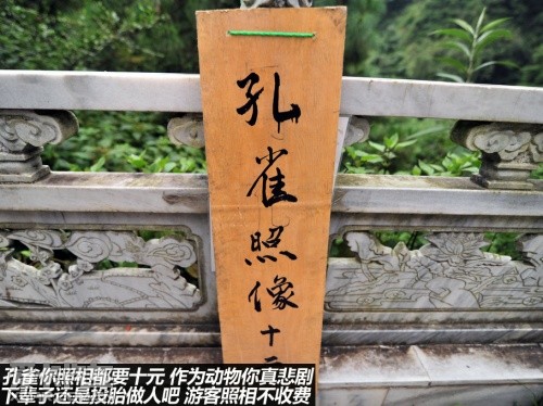 广汽本田 2012款歌诗图