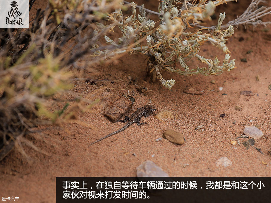 南美游记