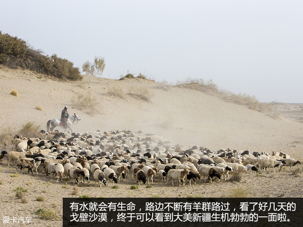 翼虎无尽之旅