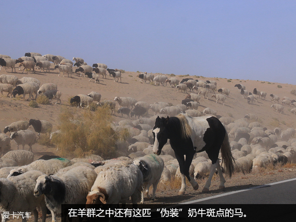 翼虎无尽之旅
