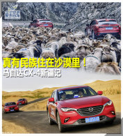 ��������ס��ɳĮ����Դ�CX-4�½���