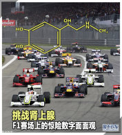 ��ս������ F1�����ϵľ������������