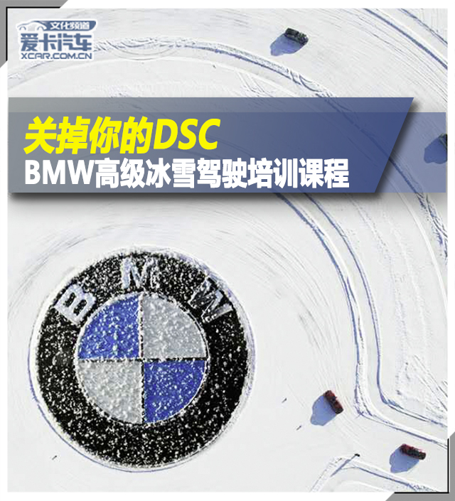 Dsc bmw что это