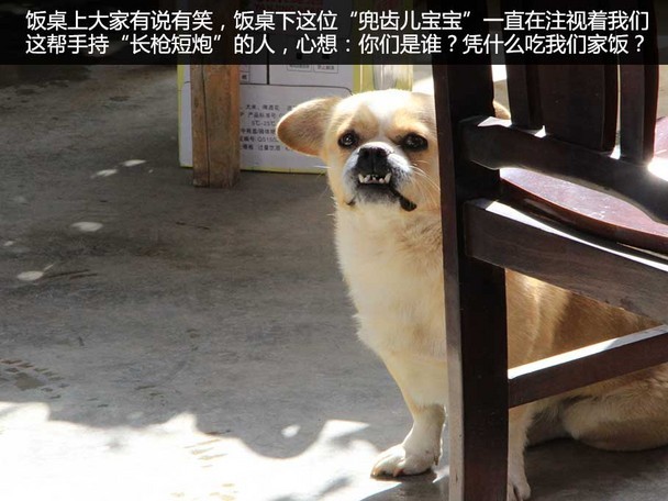 哈弗沙漠挑战游记
