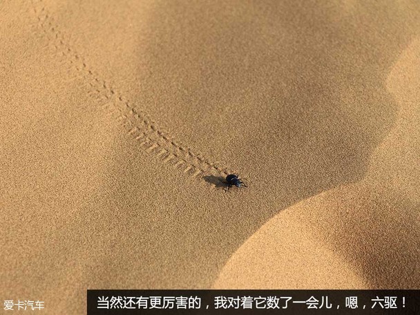 哈弗沙漠挑战游记