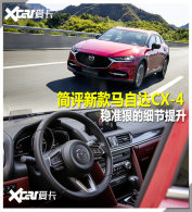 �¿����Դ�CX-4���� ����ϸ��С��ţ��