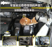 �в�����è�У����������������Դ��Щ