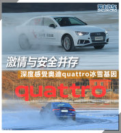 ���鰲ȫ���� ���ܰµ�quattro��ѩ����