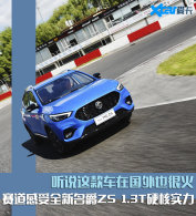 ȫ������ZS�Լ� ��ֵ/����/���ܾ�ѣ�